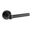 This is an image of Alexander & Wilks - Siskin Lever on Rose - Black available to order from Trade Door Handles in Kendal, quick delivery and discounted prices.