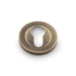 High quality image of Alexander & Wilks - Concealed Fix Escutcheon Euro Profile - Antique Brass | Sku. aw390ab | Trade Door Handles.