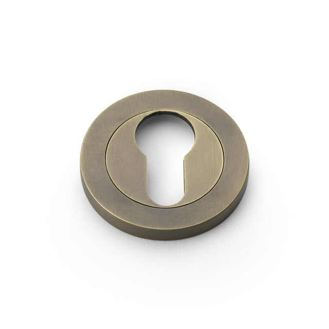 High quality image of Alexander & Wilks - Concealed Fix Escutcheon Euro Profile - Italian Brass | Sku. aw390ib | Trade Door Handles.