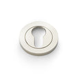 High quality image of Alexander & Wilks - Concealed Fix Escutcheon Euro Profile - Polished Nickel PVD | Sku. aw390pnpvd | Trade Door Handles.