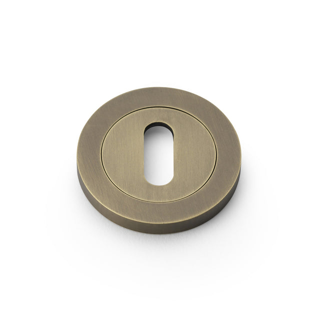 High quality image of Alexander & Wilks - Concealed Fix Escutcheon Standard Profile - Italian Brass | Sku. aw391ib | Trade Door Handles.