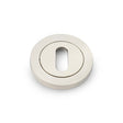 High quality image of Alexander & Wilks - Concealed Fix Escutcheon Standard Profile - Polished Nickel PVD | Sku. aw391pnpvd | Trade Door Handles.