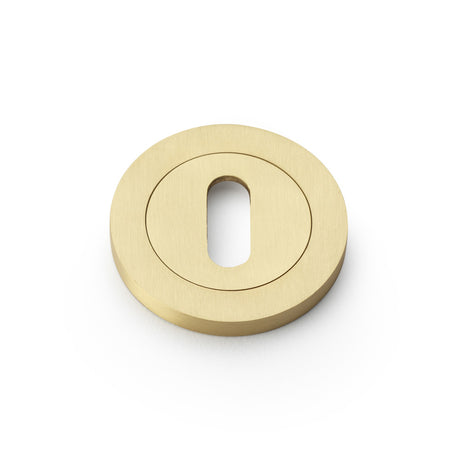 High quality image of Alexander & Wilks - Concealed Fix Escutcheon Standard Profile - Satin Brass | Sku. aw391sb | Trade Door Handles.