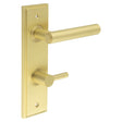 This is an image showing the Frelan - Richmond Door Handle Din Bathroom Backplate Satin Brass & Turn & Release available to order from Trade Door Handles in Kendal