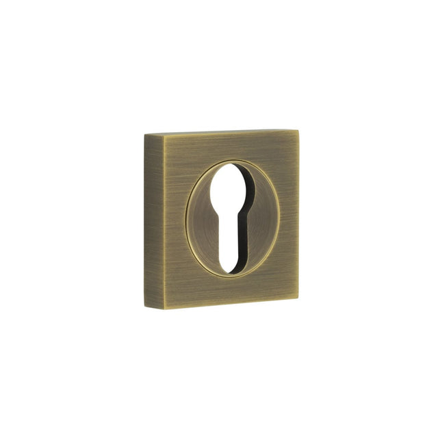 This is an image showing the Frelan - Burlington Euro Profile Escutcheons Square Plain Rose Antique Brass available to order from Trade Door Handles in Kendal