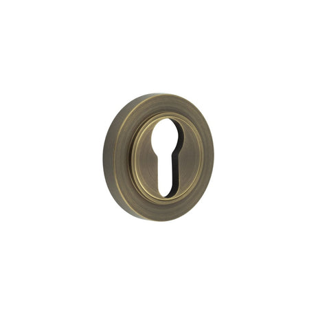 This is an image showing the Frelan - Burlington Euro Profile Escutcheons Plain Rose Antique Brass available to order from Trade Door Handles in Kendal