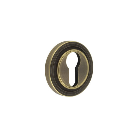 This is an image showing the Frelan - Burlington Euro Profile Escutcheons Reeded Rose Antique Brass available to order from Trade Door Handles in Kendal