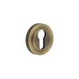 High quality image of Burlington - Euro Profile Escutcheons Knurled Rose Antique Brass Sku. BUR-61AB-75AB