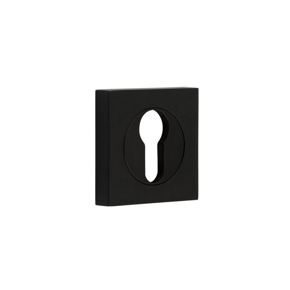 This is an image showing the Frelan - Burlington Euro Profile Escutcheons Square Plain Rose Black available to order from Trade Door Handles in Kendal