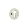 High quality image of Burlington - Euro Profile Escutcheons Plain Rose Polished Nickel Sku. BUR-61PN-71PN