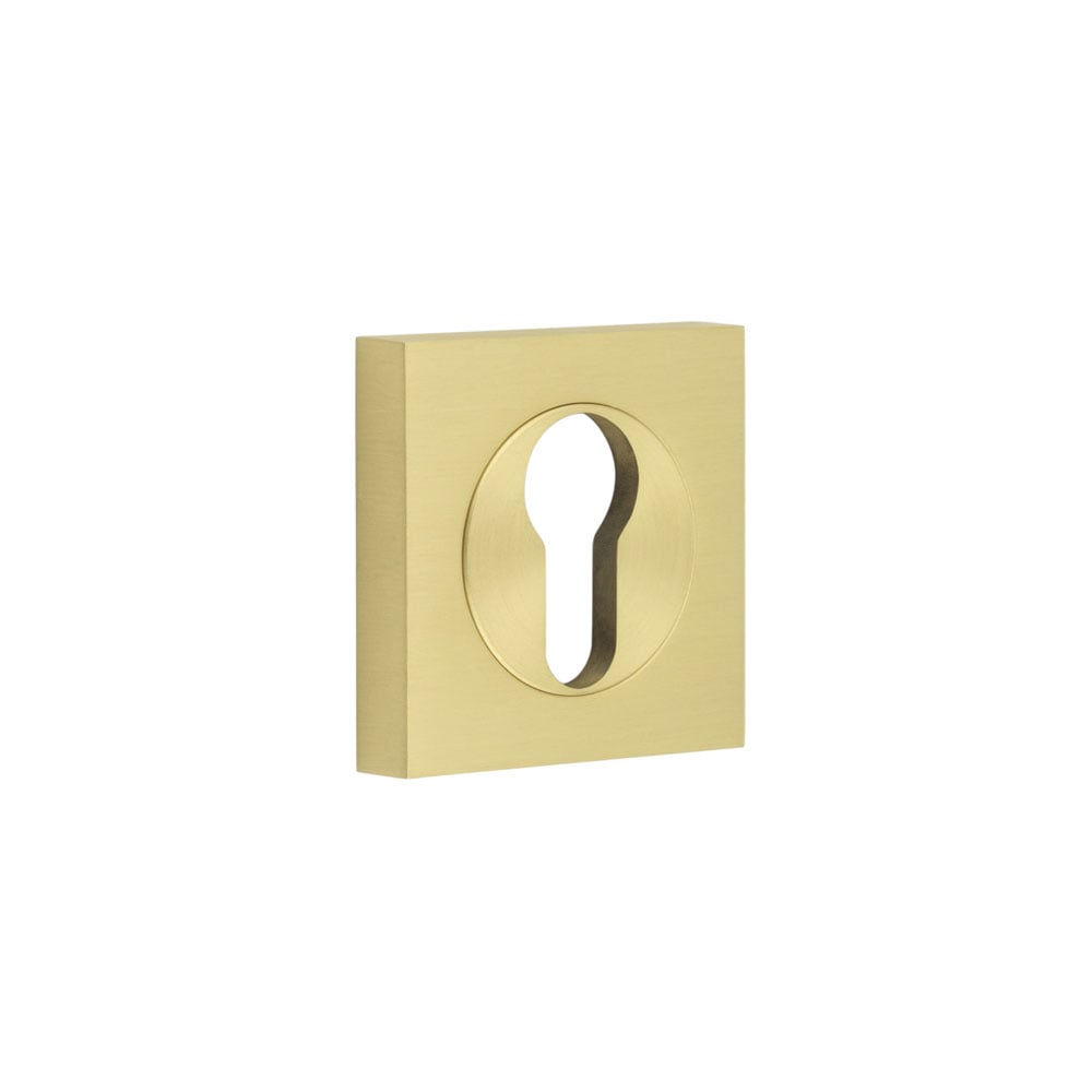 This is an image showing the Frelan - Burlington Euro Profile Escutcheons Square Plain Rose Satin Brass available to order from Trade Door Handles in Kendal