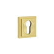 This is an image showing the Frelan - Burlington Euro Profile Escutcheons Square Stepped Rose Satin Brass available to order from Trade Door Handles in Kendal