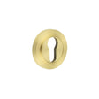 This is an image showing the Frelan - Burlington Euro Profile Escutcheons Plain Rose Satin Brass available to order from Trade Door Handles in Kendal