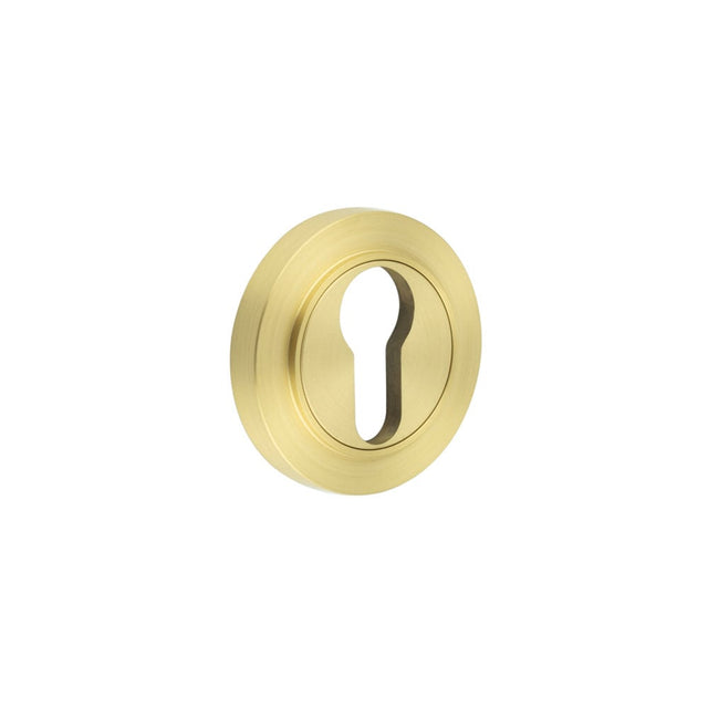 This is an image showing the Frelan - Burlington Euro Profile Escutcheons Plain Rose Satin Brass available to order from Trade Door Handles in Kendal