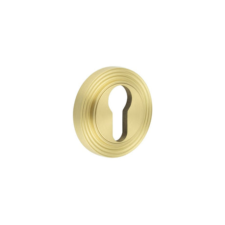 This is an image showing the Frelan - Burlington Euro Profile Escutcheons Reeded Rose Satin Brass available to order from Trade Door Handles in Kendal