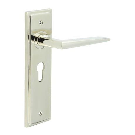 This is an image showing the Frelan - Mayfair Door Handle Euro Backplate Polished Nickel available to order from Trade Door Handles in Kendal