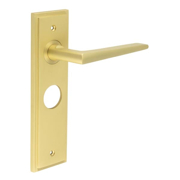 This is an image showing the Frelan - Mayfair Door Handle Bathroom Backplate Satin Brass available to order from Trade Door Handles in Kendal