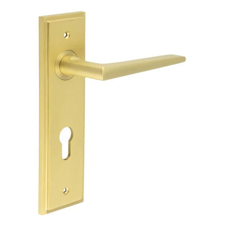 This is an image showing the Frelan - Mayfair Door Handle Din Euro Backplate Satin Brass available to order from Trade Door Handles in Kendal