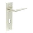 This is an image showing the Frelan - Mayfair Door Handle Din Euro Backplate Satin Nickel available to order from Trade Door Handles in Kendal