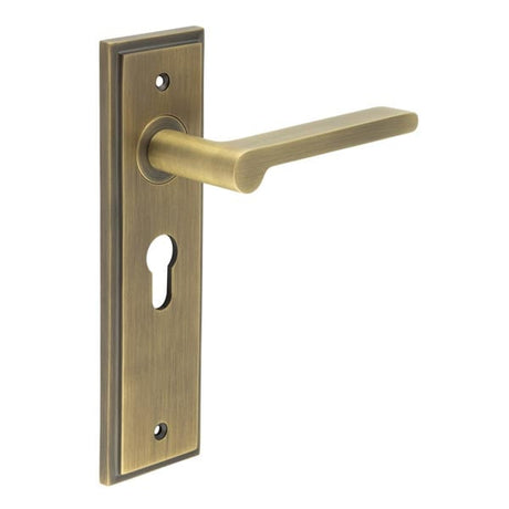 This is an image showing the Frelan - Fitzrovia Door Handle Euro Backplate Antique Brass available to order from Trade Door Handles in Kendal