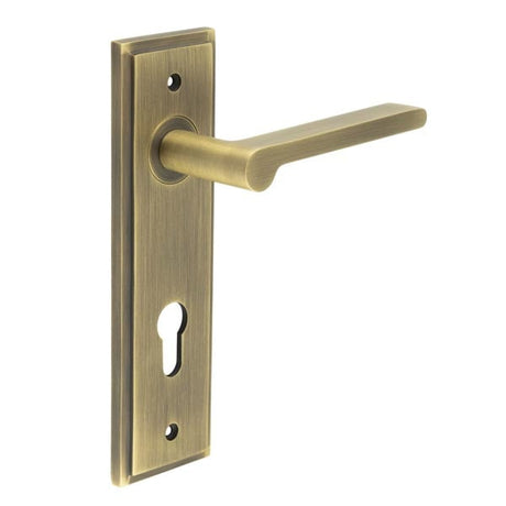 This is an image showing the Frelan - Fitzrovia Door Handle Din Euro Backplate Antique Brass available to order from Trade Door Handles in Kendal