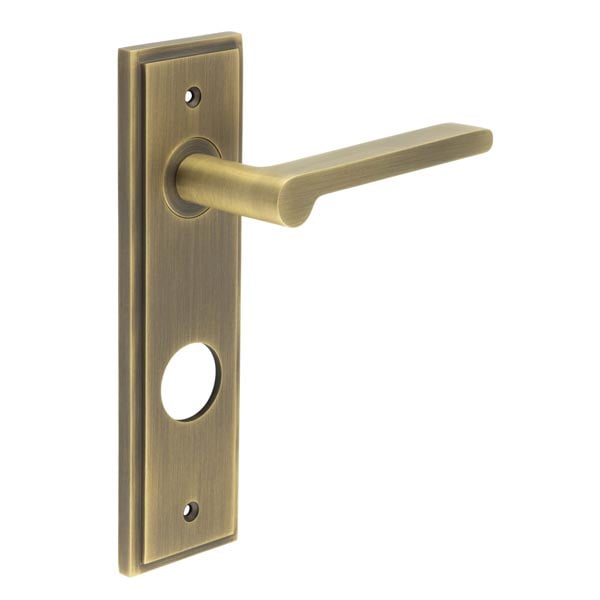 This is an image showing the Frelan - Fitzrovia Door Handle Din Bathroom Backplate Antique Brass available to order from Trade Door Handles in Kendal