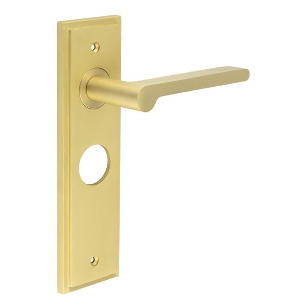 This is an image showing the Frelan - Fitzrovia Door Handle Bathroom Backplate Satin Brass available to order from Trade Door Handles in Kendal