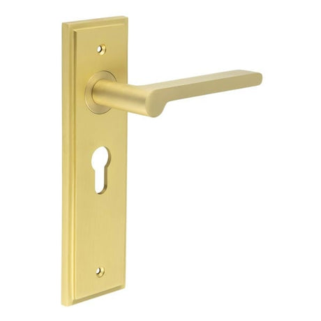 This is an image showing the Frelan - Fitzrovia Door Handle Euro Backplate Satin Brass available to order from Trade Door Handles in Kendal