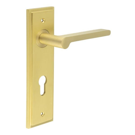 This is an image showing the Frelan - Fitzrovia Door Handle Din Euro Backplate Satin Brass available to order from Trade Door Handles in Kendal