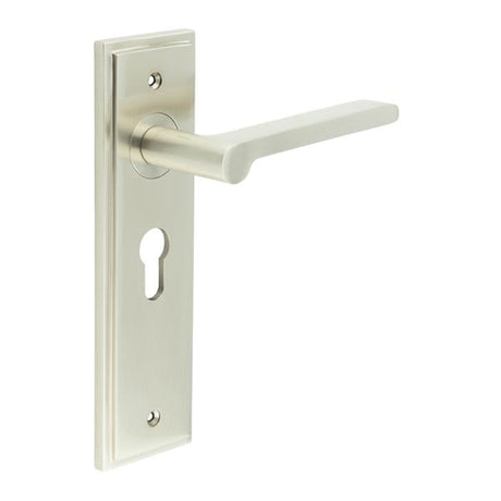 This is an image showing the Frelan - Fitzrovia Door Handle Euro Backplate Satin Nickel available to order from Trade Door Handles in Kendal