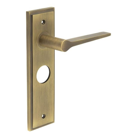 This is an image showing the Frelan - Knightbridge Door Handle Bathroom Backplate Antique Brass available to order from Trade Door Handles in Kendal