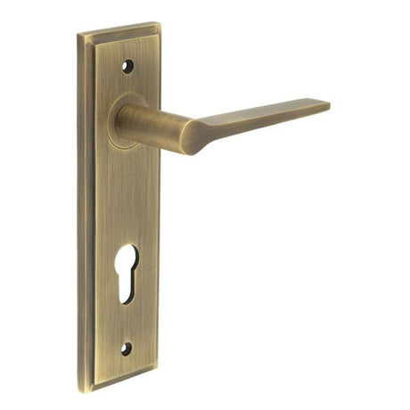 This is an image showing the Frelan - Knightbridge Door Handle Din Euro Backplate Antique Brass available to order from Trade Door Handles in Kendal