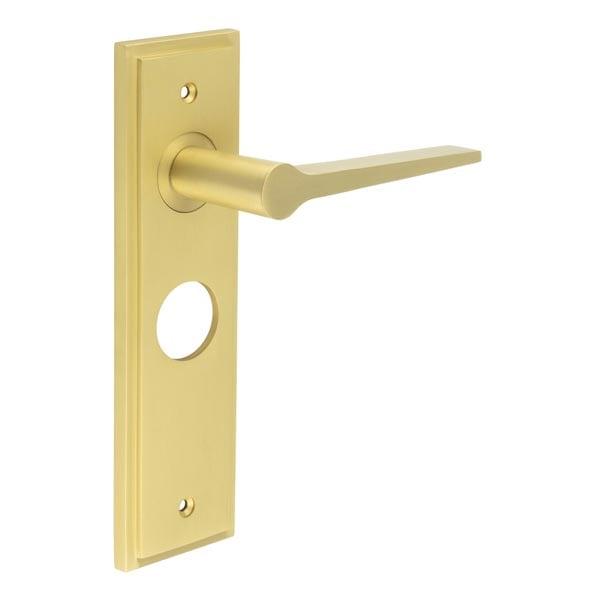 This is an image showing the Frelan - Knightbridge Door Handle Bathroom Backplate Satin Brass available to order from Trade Door Handles in Kendal