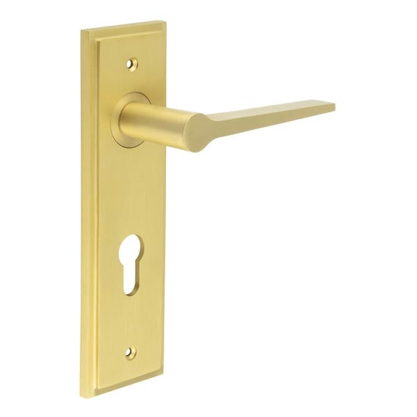 This is an image showing the Frelan - Knightbridge Door Handle Euro Backplate Satin Brass available to order from Trade Door Handles in Kendal