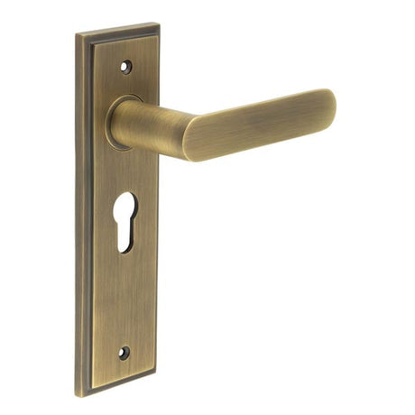 This is an image showing the Frelan - Kensington Door Handle Euro Backplate Antique Brass available to order from Trade Door Handles in Kendal