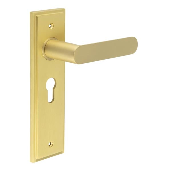 This is an image showing the Frelan - Kensington Door Handle Euro Backplate Satin Brass available to order from Trade Door Handles in Kendal