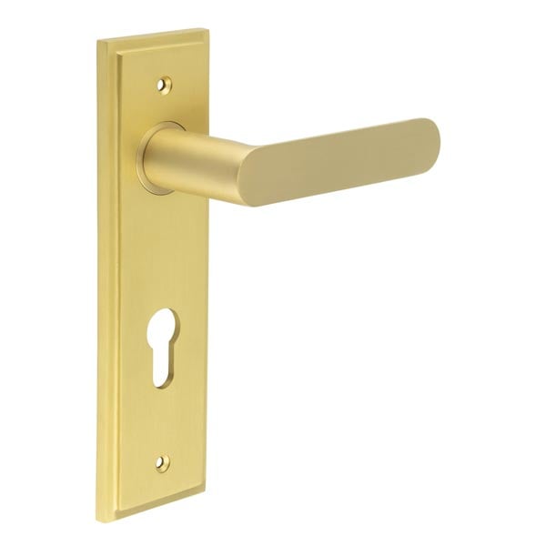 This is an image showing the Frelan - Kensington Door Handle Din Euro Backplate Satin Brass available to order from Trade Door Handles in Kendal