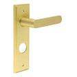 This is an image showing the Frelan - Kensington Door Handle Din Bathroom Backplate Satin Brass available to order from Trade Door Handles in Kendal