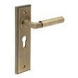 This is an image showing the Frelan - Westminster Door Handle Euro Backplate Antique Brass available to order from Trade Door Handles in Kendal