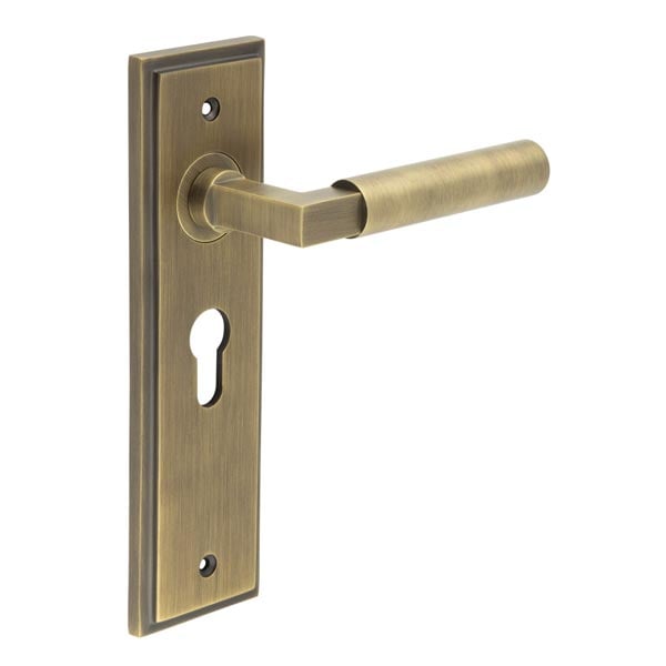 This is an image showing the Frelan - Westminster Door Handle Euro Backplate Antique Brass available to order from Trade Door Handles in Kendal