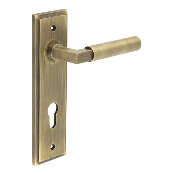 This is an image showing the Frelan - Westminster Door Handle Din Euro Backplate Antique Brass available to order from Trade Door Handles in Kendal