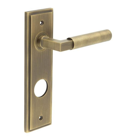 This is an image showing the Frelan - Westminster Door Handle Din Bathroom Backplate Antique Brass available to order from Trade Door Handles in Kendal