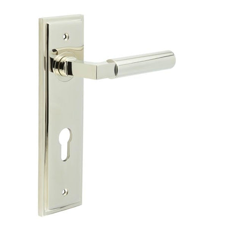 This is an image showing the Frelan - Westminster Door Handle Din Euro Backplate Polished Nickel available to order from Trade Door Handles in Kendal