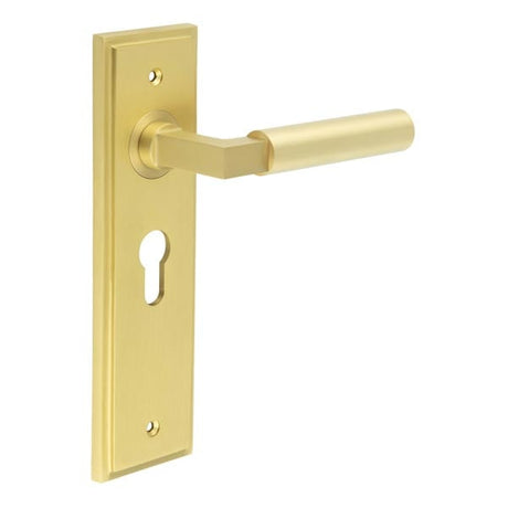 This is an image showing the Frelan - Westminster Door Handle Euro Backplate Satin Brass available to order from Trade Door Handles in Kendal