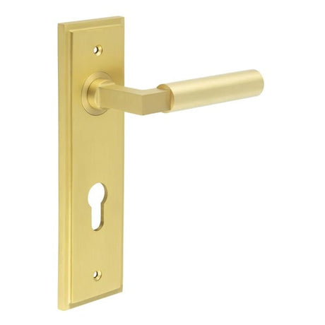 This is an image showing the Frelan - Westminster Door Handle Din Euro Backplate Satin Brass available to order from Trade Door Handles in Kendal