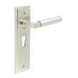 This is an image showing the Frelan - Westminster Door Handle Euro Backplate Satin Nickel available to order from Trade Door Handles in Kendal