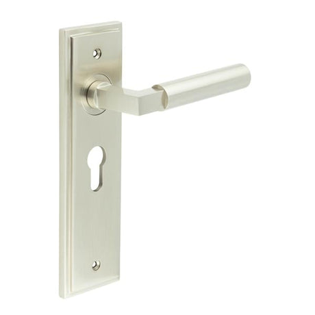 This is an image showing the Frelan - Westminster Door Handle Euro Backplate Satin Nickel available to order from Trade Door Handles in Kendal