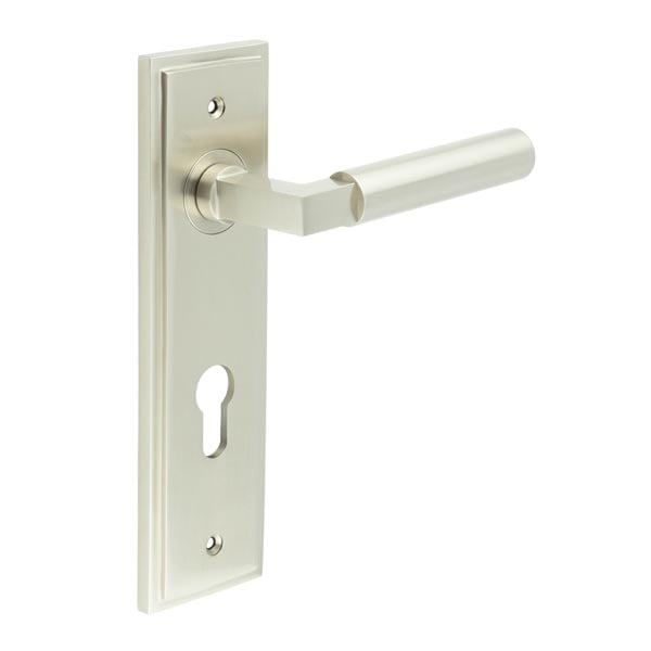 This is an image showing the Frelan - Westminster Door Handle Din Euro Backplate Satin Nickel available to order from Trade Door Handles in Kendal