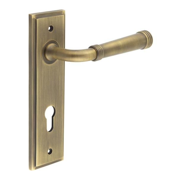 This is an image showing the Frelan - Highgate Door Handle Din Euro Backplate Satin Brass available to order from Trade Door Handles in Kendal