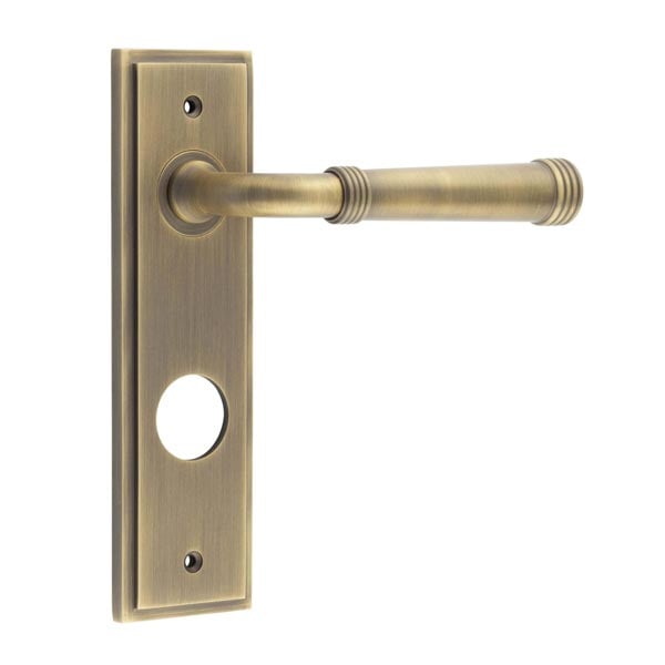 This is an image showing the Frelan - Highgate Door Handle Din Bathroom Backplate Antique Brass available to order from Trade Door Handles in Kendal